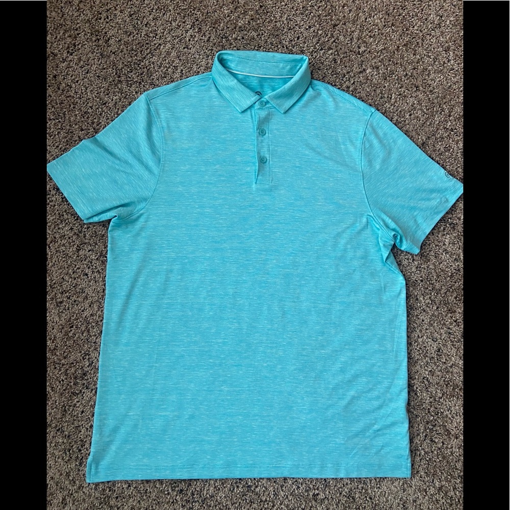 Champion polo